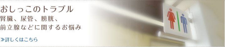 おしっこのトラブル 腎臓、尿管、膀胱、前立腺などに関するお悩み