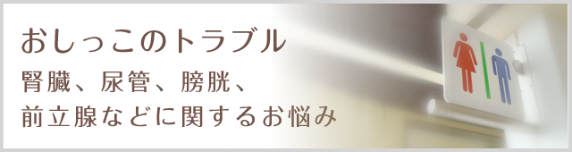 おしっこのトラブル 腎臓、尿管、膀胱、前立腺などに関するお悩み