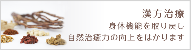 漢方治療 身体機能を取り戻し自然治癒力の向上をはかります